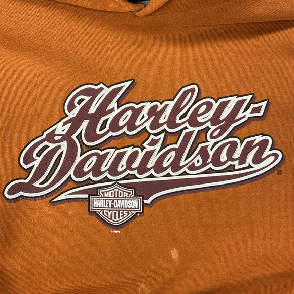 Harley Davidson Doyle’s Orange Hoodie - L - Picture 3 of 5